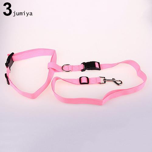 Dây xích chó đeo ngang hông tiện dụng dùng chạy bộ