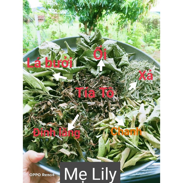 Lá xông giải cảm thiên nhiên không thuốc nhà làm. | BigBuy360 - bigbuy360.vn