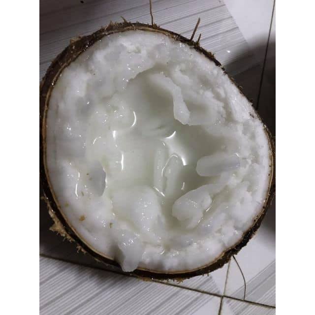 Combo 2 trái loại trung 900g