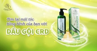 Combo dầu gội bưởi CRD