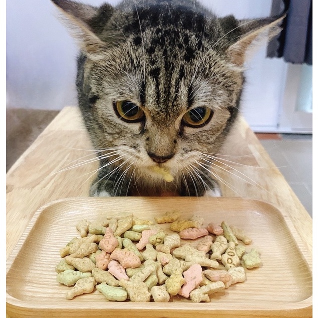 50GR BÁNH CÁ CATNIP, BÁNH THƯỞNG CHO MÈO