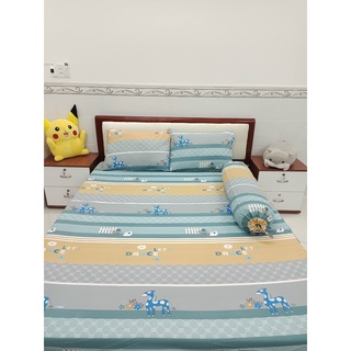 Bộ Drap Cotton Thắng Lợi 1m6