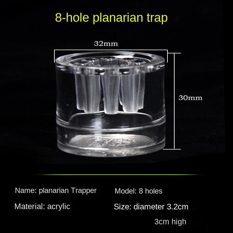 Cây Thủy Sinh 3 Lỗ 2 Lỗ 8 Lỗ Bắt Côn Trùng Bằng acrylic