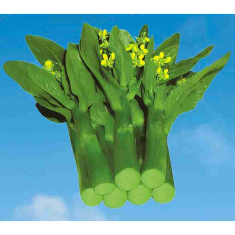 Hạt giống rau cải ngồng xanh 10 gram