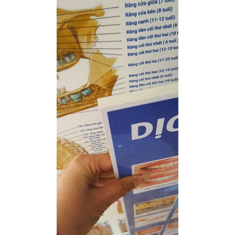 Tranh nha khoa các chủ đề: Dịch vụ, giải phẫu, răng sứ, implant...