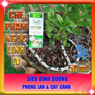 Chế Phẩm Ngọc Linh LV VIP 50ml | Siêu Dinh Dưỡng Cho Phong Lan