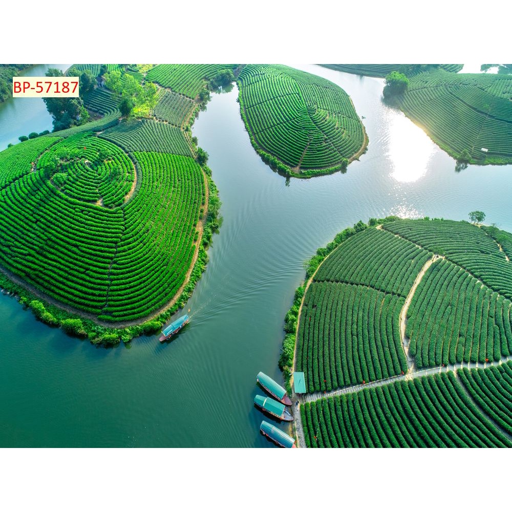 Tranh dán tường 3D Chất liệu lụa 3D, xé không rách, lau chùi thoải mái