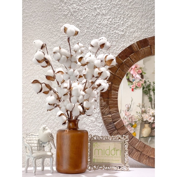 Cành hoa bông gòn loại 1 - Cành hoa gòn khô 10 bông - Bông cotton khô loại đẹp - C.Bông gòn - TQ