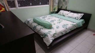 Set drap + 2 vỏ gối đầu và 1 vỏ ôm