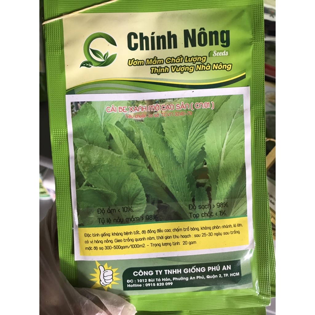 Cải bẹ xanh mỡ cao sản- CN1