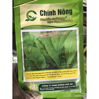 Cải bẹ xanh mỡ cao sản- CN1