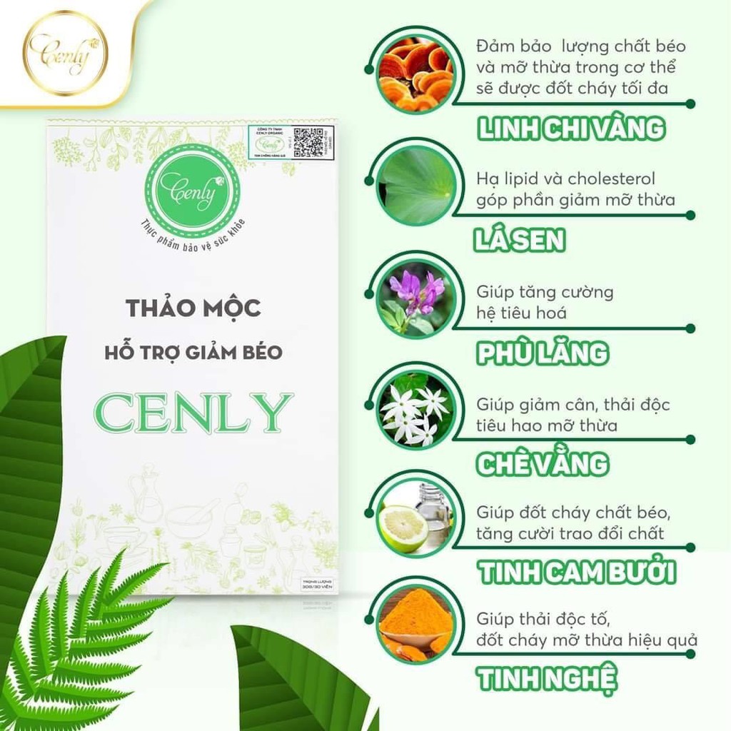 GIẢM CÂN NHANH CENLY | BigBuy360 - bigbuy360.vn
