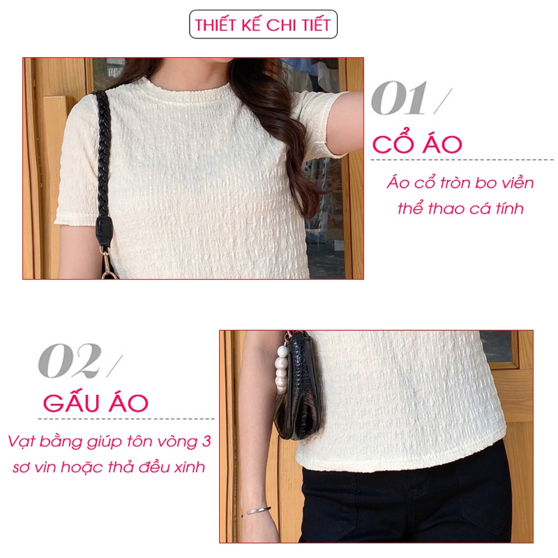 Áo Thun Nữ Tay Ngắn MIN19 Áo Phông Nữ Đẹp Cổ Tròn Dáng Ôm Vải Cotton Nhăn Màu Trắng Nâu Xanh Be Thời Trang Hàn Quốc | BigBuy360 - bigbuy360.vn