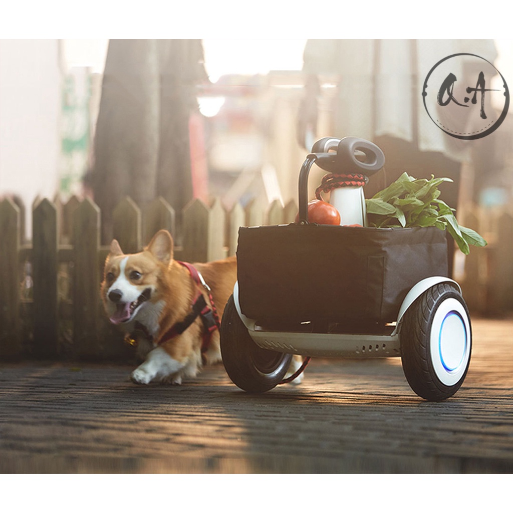 Xe Điện Cân Bằng Mini Plus Đi Theo Chủ Nhân