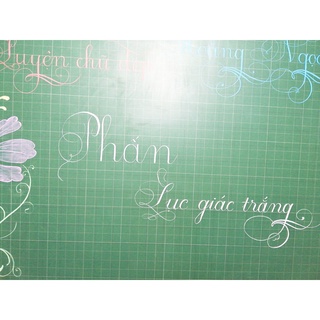PHẤN LỤC GIÁC 16 VIÊN
