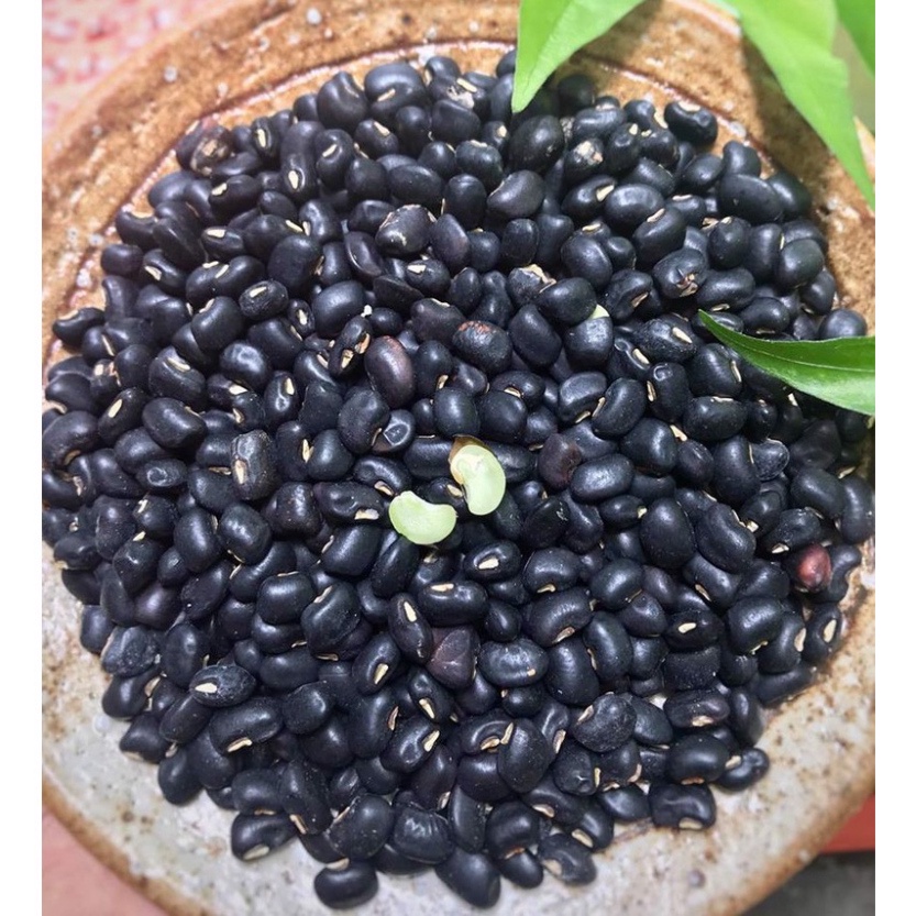 Đậu Đen Xanh Lòng 500G Hữu Cơ Non GMO - Hạt Đỗ Đen Hoàng Phương Dùng Nấu Chè Làm Giá Đậu Bánh Sữa