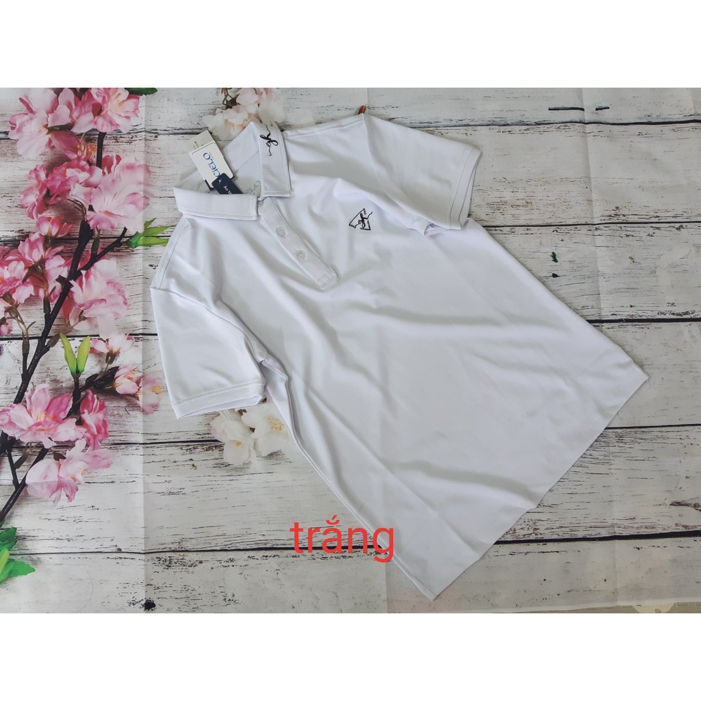 Áo Polo ngắn tay nam Gia Hồi GH New