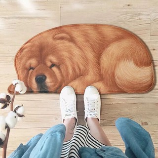 THẢM CHÙI CHÂN 3D HÌNH THÚ ĐÁNG YÊU