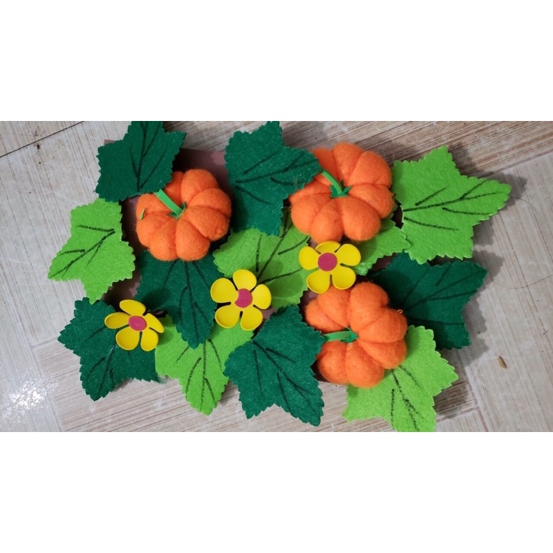 Vỉ rau củ nỉ