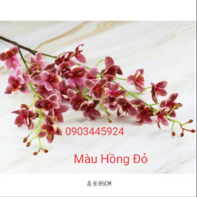 Hoa giả- Cành phong lan cao 85cm có Ảnh thật