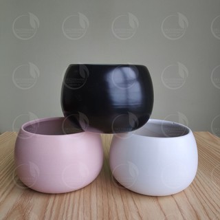 Chậu hạt dẻ trơn - Chậu trồng cây mini, cây để bàn, phong thủy, nội thất