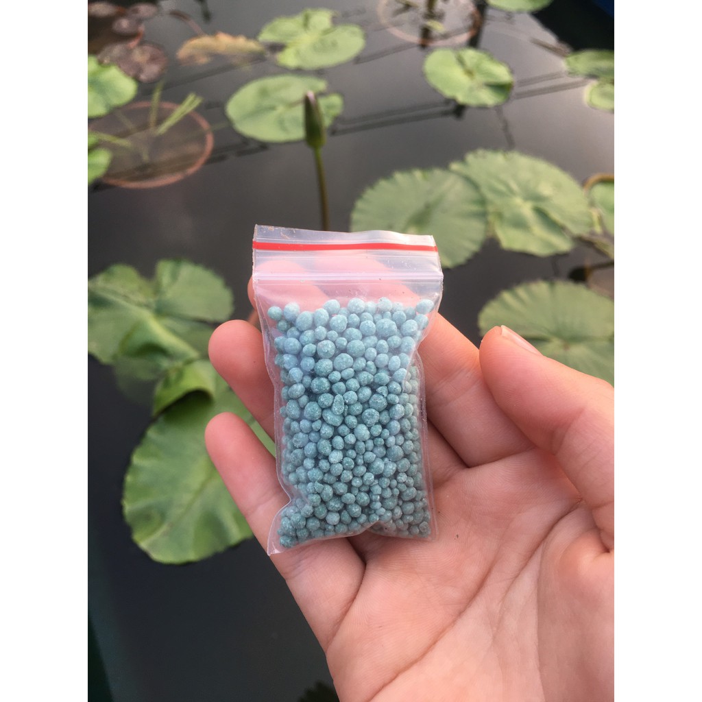Phân bón NPK cho hoa súng, hoa sen 1 gói 10 gam.