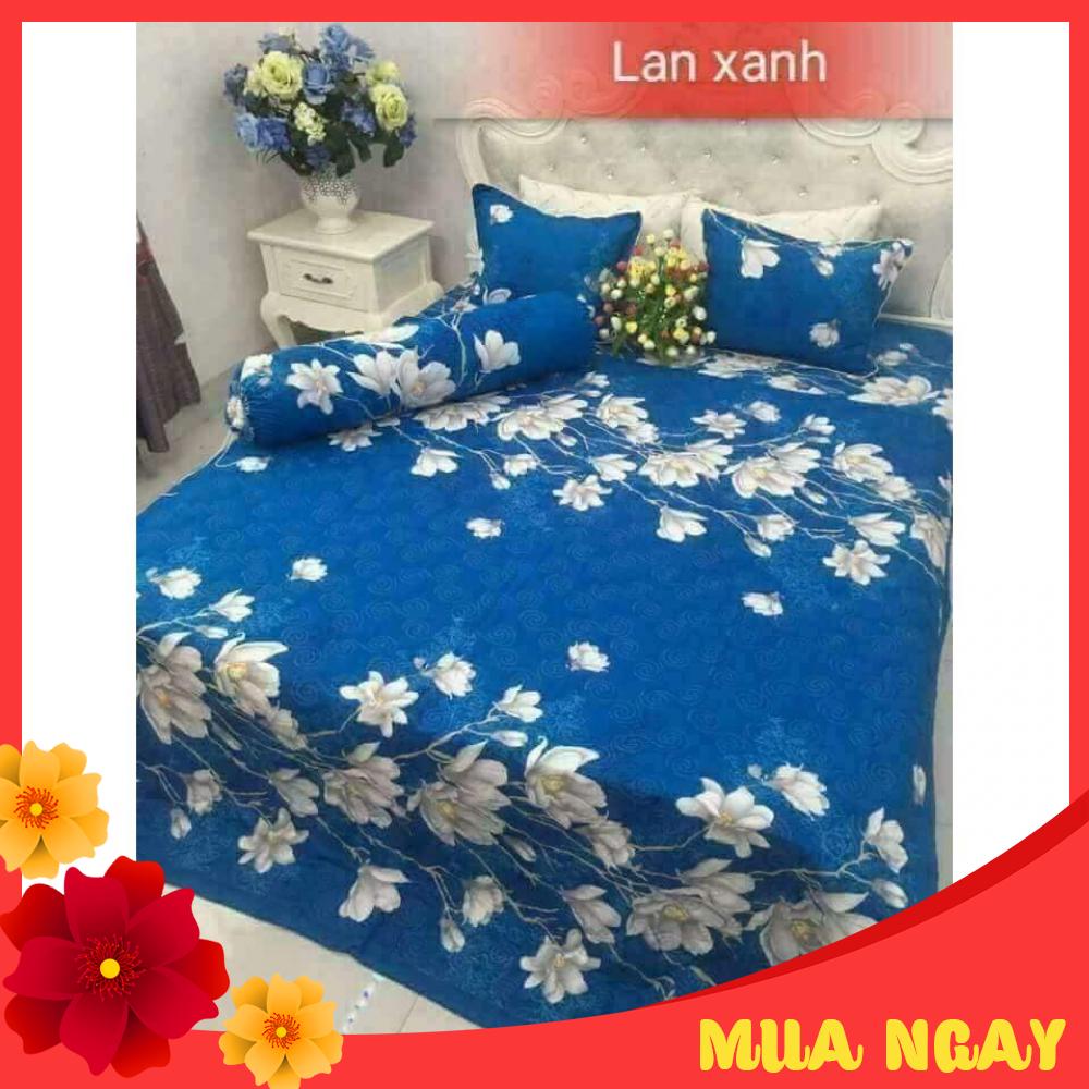 Bộ Chăn Hè Ga Gối, Drap Giường 5 Món Mẫu Lan Xanh changa
