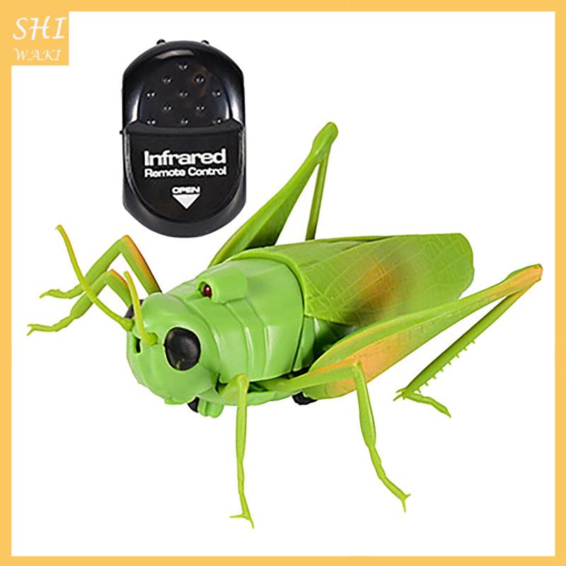 Đồ Chơi Mô Hình Côn Trùng Máy Bay Điều Khiển Từ Xa Mẫu Mới Lạ Làm Quà Tặng Cho