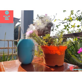 Máy khuyếch tán Tinh dầu phun Sương Hơi Nước Hình Lát Cắt Quả Chanh TH1