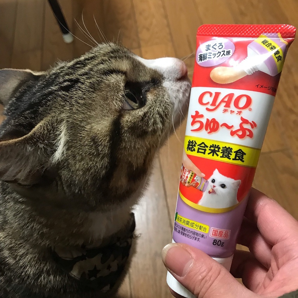 Ciao Inaba churu tuýp 80g dạng kem đặc liếm thưởng cho mèo bổ sung lợi khuẩn