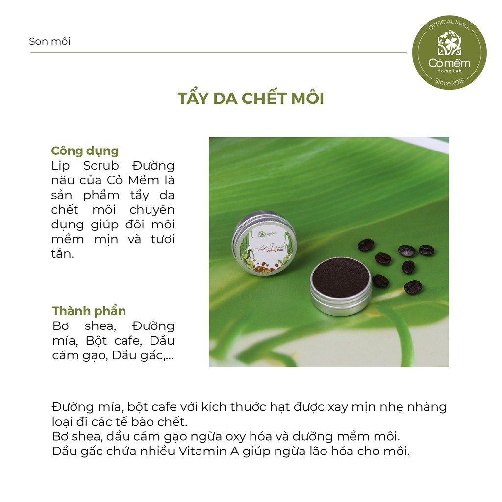 Tẩy Da Chết Môi Cho Bà Bầu - Lip Scrub Đường Nâu Cỏ Mềm - Tẩy Tế Bào Chết Cho Môi An Toàn Từ Thiên Nhiên | BigBuy360 - bigbuy360.vn