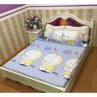 Ga chun 2 vỏ gối chất poly 2mx2m2.