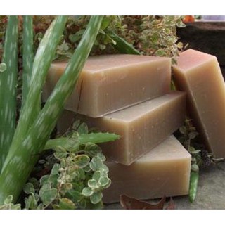 [Meoheo] Xà bông tắm gội đầu Neem and Tea Tree Body and Hair Shampoo Chagrin Valley