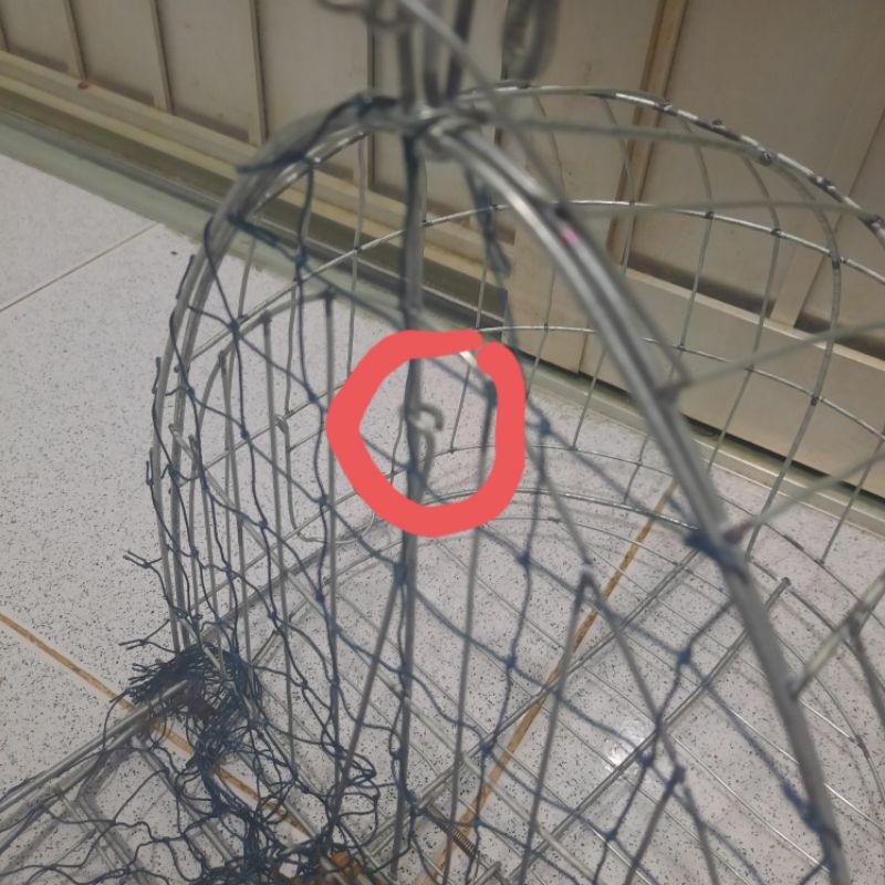 Lồng bẫy chim cu gáy, bìm bịp, bồ câu...