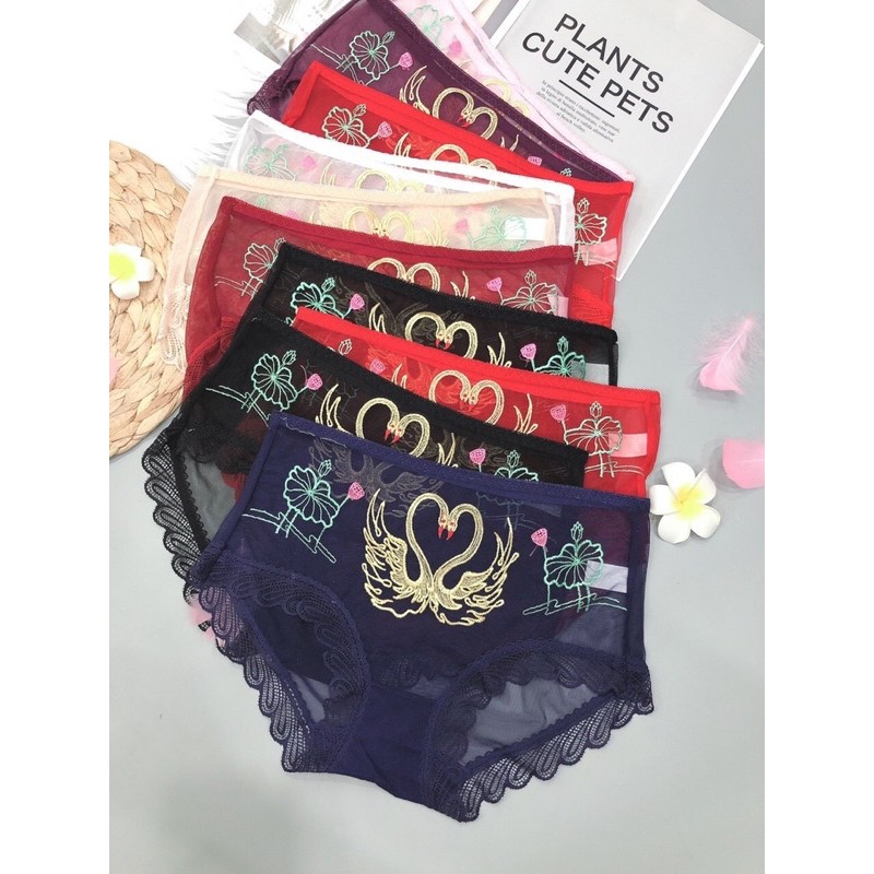 Quần Lót ren cạp Cao uyên ương - Quần lót nữ ren Lưới