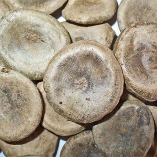 Sỉ toàn quốc hạt mã tiền 100g - 200g - 300g