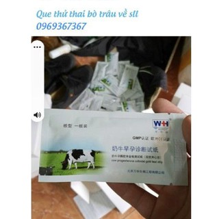Que thử thai bò trâu