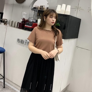 Áo thun gân big size thêu viền màu hồng ruốc, nâu, trắng size 65-100kg