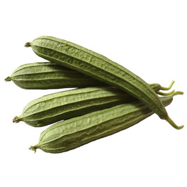 hạt giống mướp khía cao sản- gói 10gr
