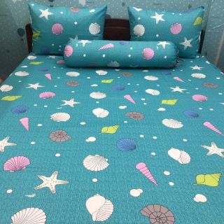 Drap cotton Thắng Lợi.