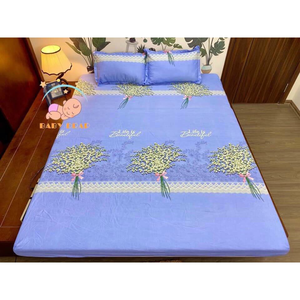 Combo Bộ Ga Gối Cotton Poly 1m8x2m-2mx2m2