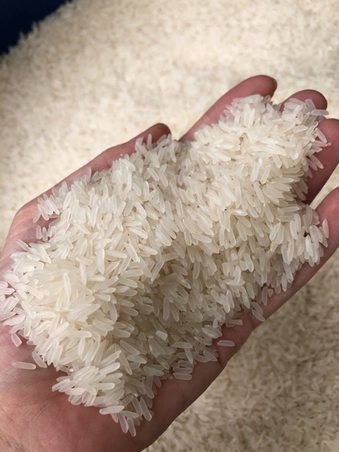 Gạo tám thái em bé 10kg