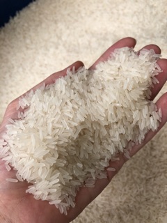 Gạo tám thái em bé 10kg