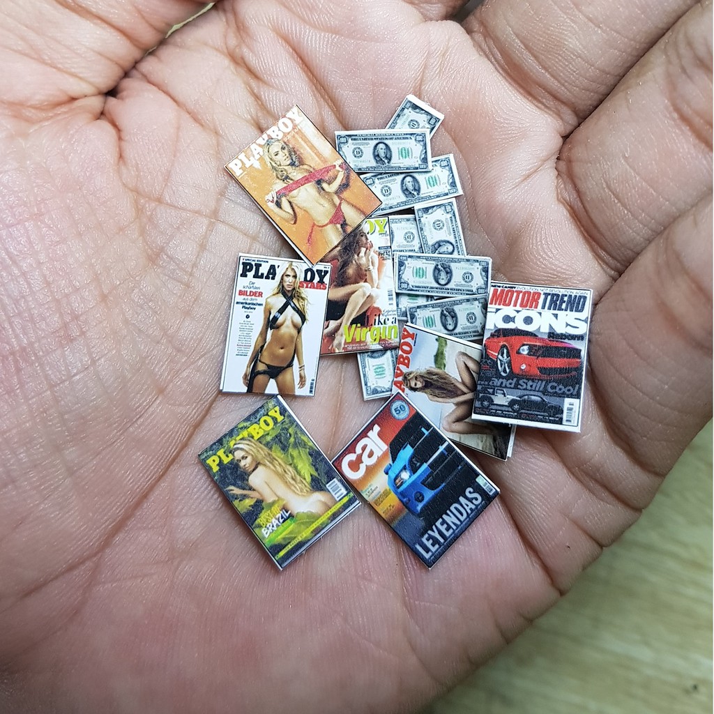 Mô hình tạp chí Playboy, tạp chí mô hình