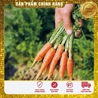 BỘ 06 gói hạt giống cà rốt mini TẶNG 2 phân bón