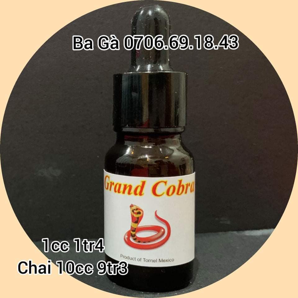 Thuốc gà đá GRAND COBRA 1cc - Giúp tăng bo, tải cựa, nuốt ói [Loại nhỏ]