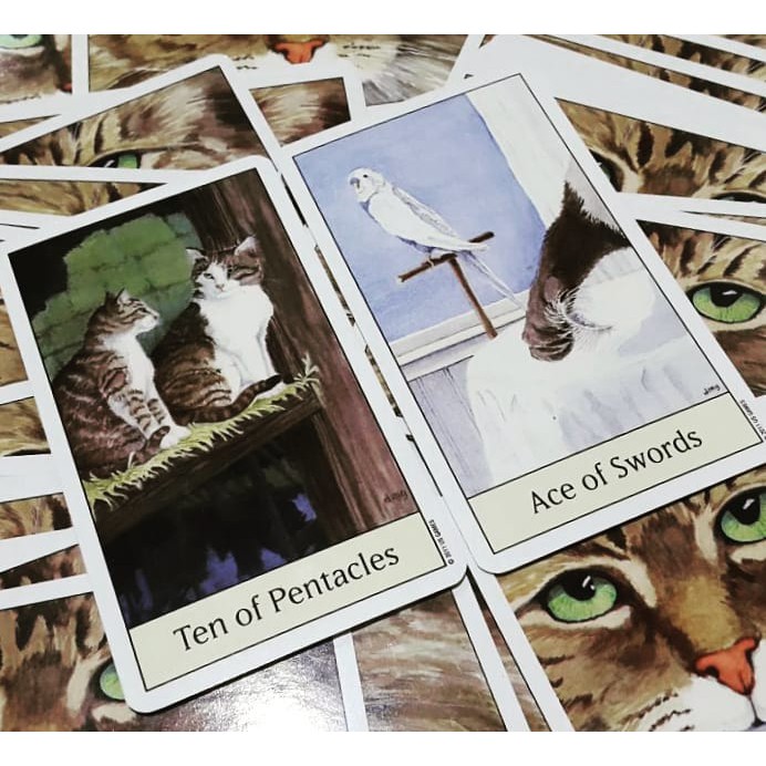 Bài Cat’s Eye Tarot