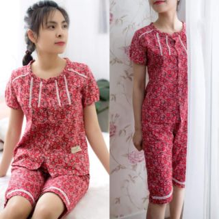 Bộ sò xinh vải thô hàn loại 1