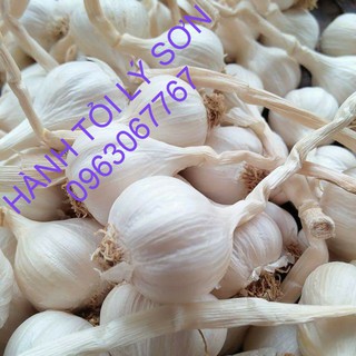 TỎI LÝ SƠN THƯỜNG LOẠI 1 (0.5 Kg)