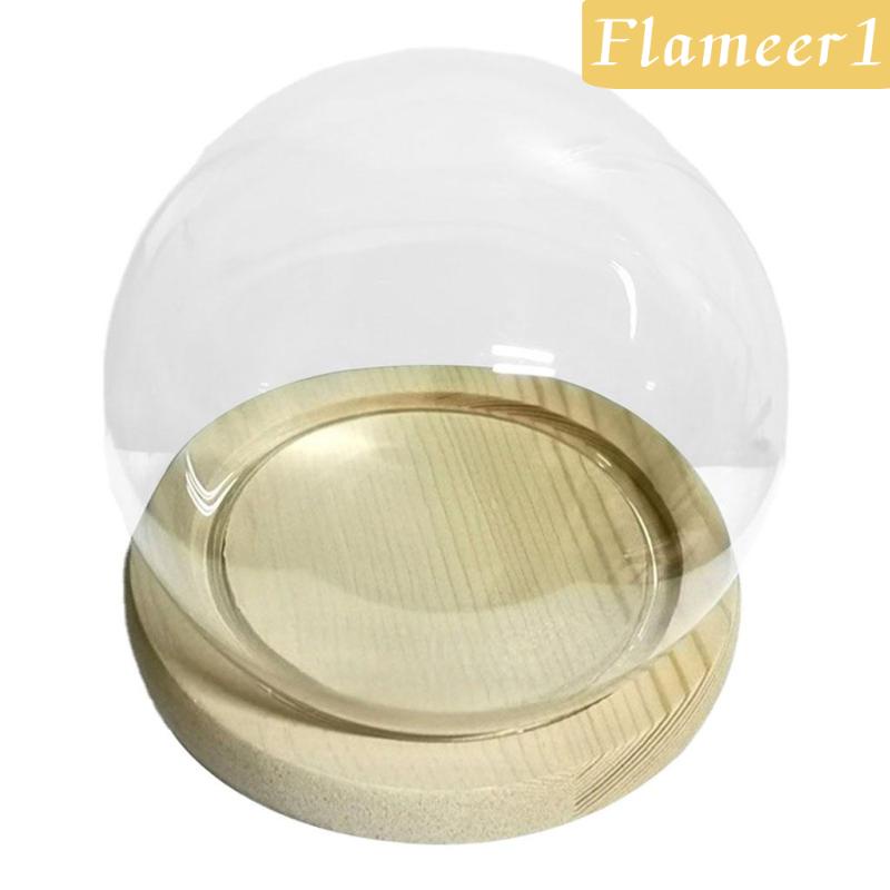 Lọ Thủy Tinh Trưng Bày Chuông Vòm Hoa Đế Gỗ 10cm